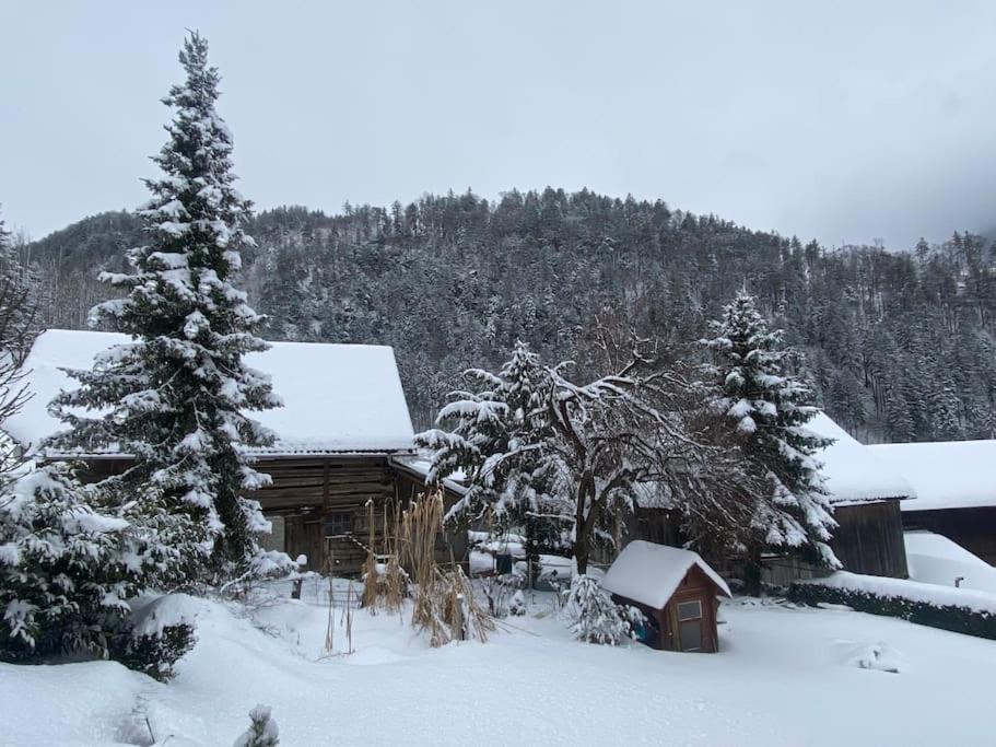 Panorama Wohnung Rungelin Bludenz Exteriör bild